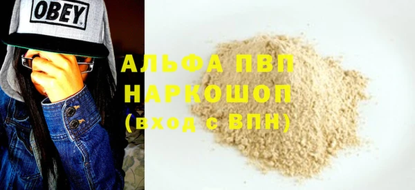 МДПВ Каменка