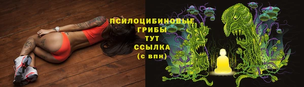 МДПВ Каменка