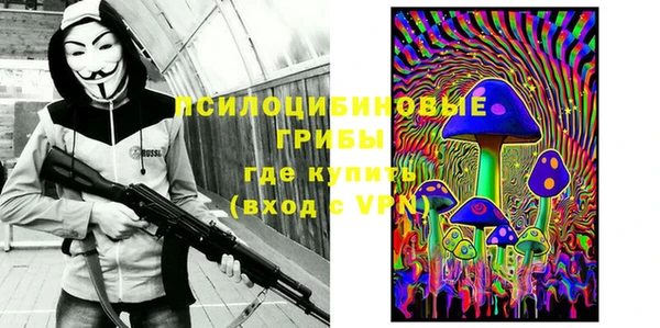 МДПВ Каменка
