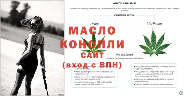 герыч Каменногорск
