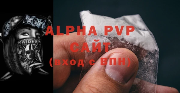 МДПВ Каменка