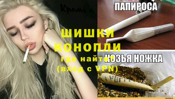 МДПВ Каменка
