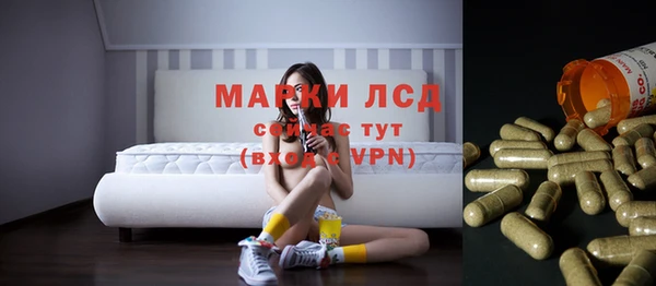 гидра Каменск-Шахтинский