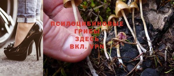 герыч Каменногорск