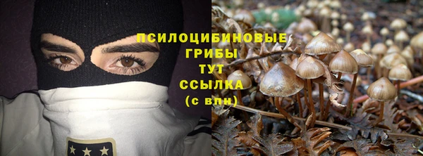 герыч Каменногорск